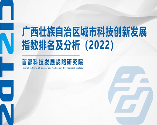 日B干B干【成果发布】广西壮族自治区城市科技创新发展指数排名及分析（2022）